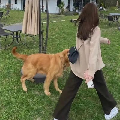 女儿们的恋爱 怦然心动篇